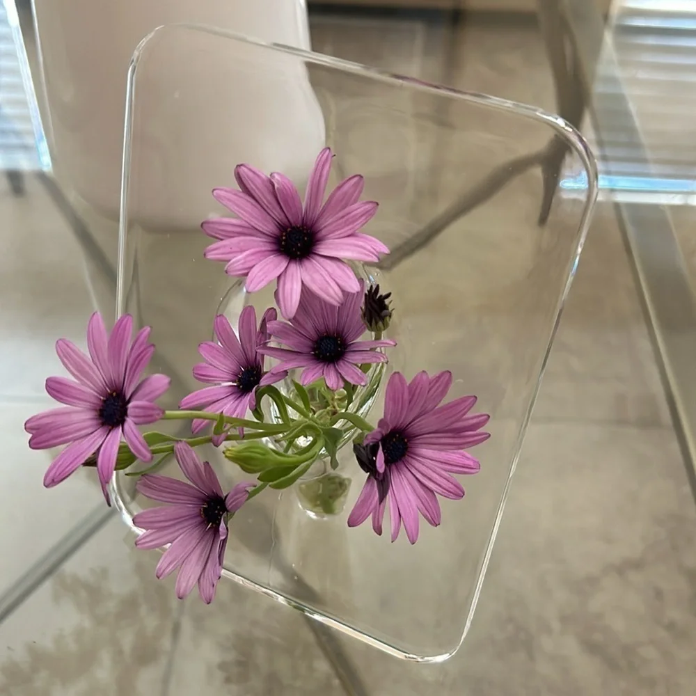 Contemporary Acrylic Vase: Rectangular Shape, Transparent Design / BRAND NEW